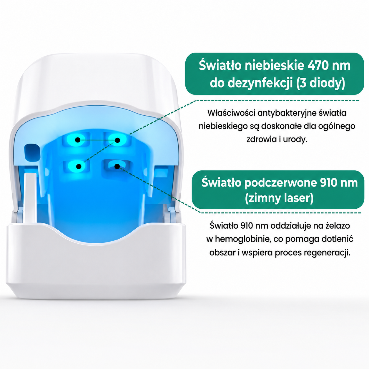 ORTHO VITAL